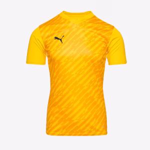 Puma teamLIGA Jersey